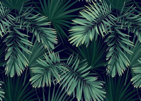 Illustrated Dark Tropical Wallpaper Palm Leaf Mural Bobbi Beck In