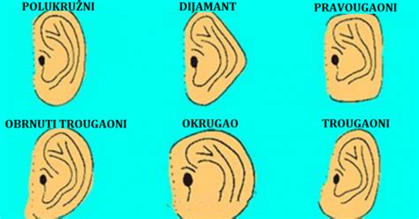 Pogledajte šta oblik vaših ušiju govori o Vašem karakteru - Bh Vjesnik