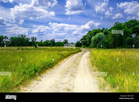 Dirt Road Winding Through Wild Grass And Trees In Belarus Countryside