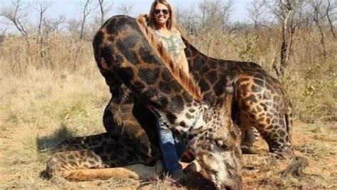 Picture Of American Woman Posing With Dead Giraffe Goes Viral Sparks Outrage
