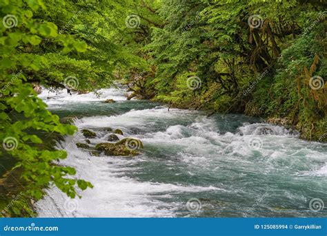 Mountain River Flowing Through The Green Forest Rapid Flow Over Rock