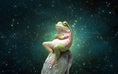This Sub Is In Dire Need Of Frogs Rspacefrogs