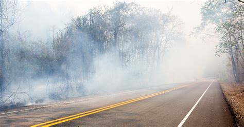 Is Wildfire Smoke Inward Atlanta Displace For Concern Tranding News