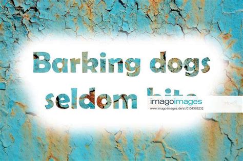 Barking Dogs Seldom Bite Words Print On The Grunge Metallic Wall