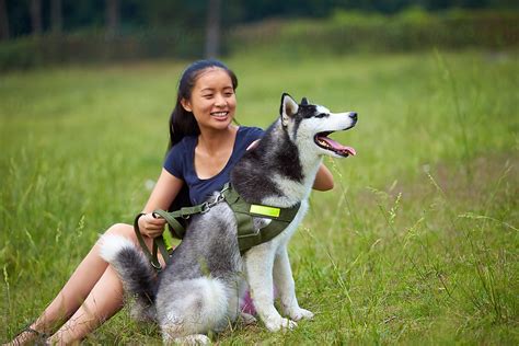 Young Asian Woman With Her Dog Outdoor By Stocksy Contributor Bo Bo
