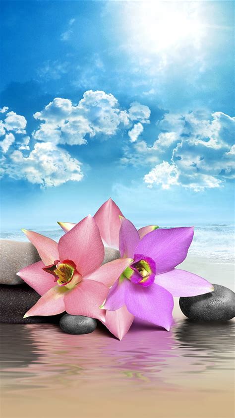 Pink Flowers Stones Sea Beach Clouds Sun Iphone 11 Pro Xs Max