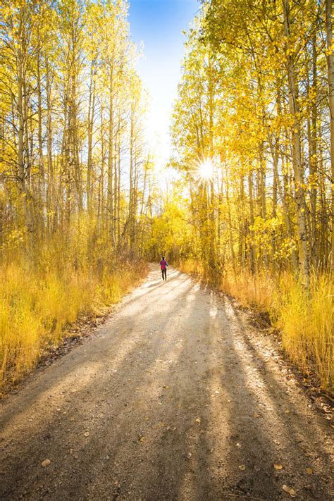 7 Must Do Fall Hikes In Truckee And Lake Tahoe