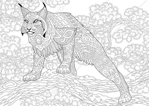 Wildcat. Lynx. Bobcat. Caracal. Coloring Pages. Animal