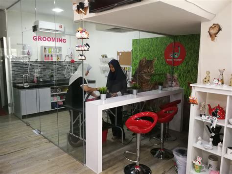 Top 10 Pet Cafes In Kl And Selangor With Adorable Pets Kl Foodie