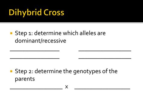 A dihybrid cross tracks two traits. PPT - Double Trait Inheritance - Dihybrid Cross PowerPoint ...