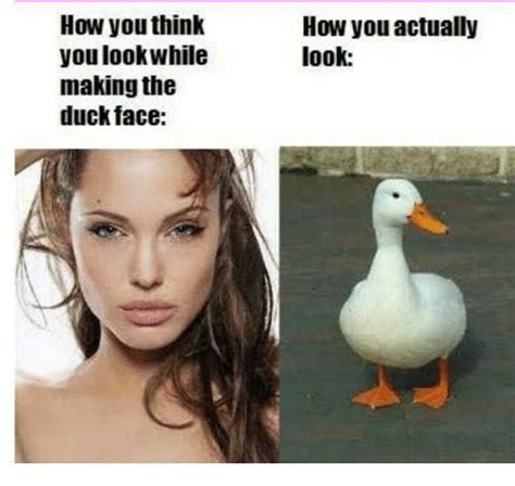 35 Duck Memes That Will Make You Quack All Day Duck Face Funny