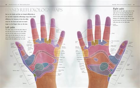 Reflexology Hand And Foot Maps Peacock And Paisley