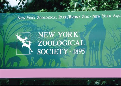 Bronx Zoo Signage Behance