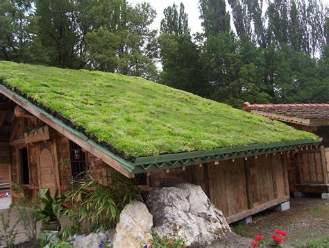 Green Roofing System