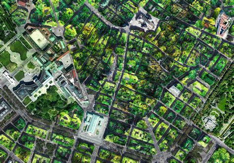 Urban Super Forest Future Architecture