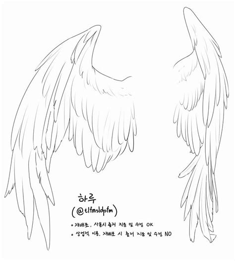 Pin By Shaúl Salazar Salazar On Drawing Wings Drawing Art Reference
