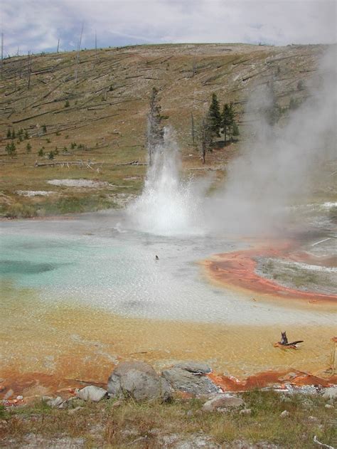 The Hot Springs And Geysers Geyser Yellowstone Yellowstone National
