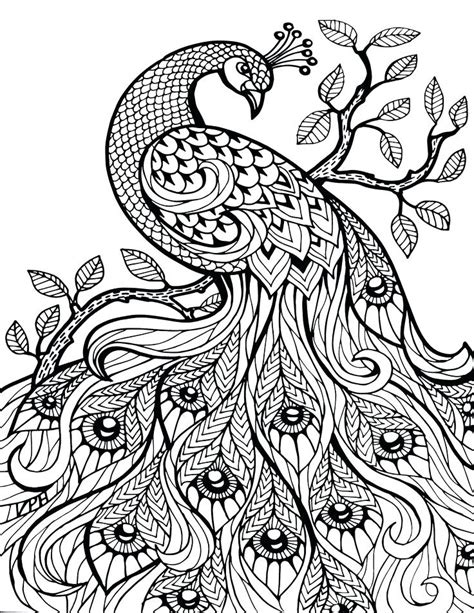zentangle coloring pages  print  getdrawings