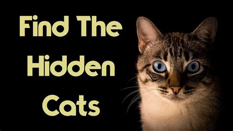 Can You Find All The Hidden Cats 90 Fail Youtube