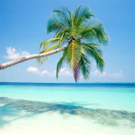 10 Best Tropical Island Wallpaper Hd Full Hd 1080p For Pc