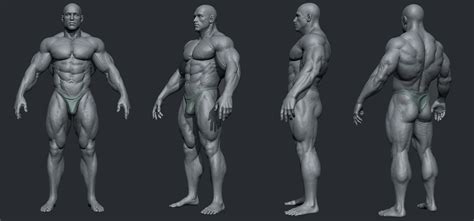 Male Body Builder Zbrushcentral