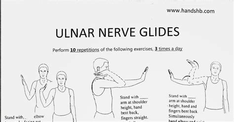 Ulnar Nerve Glide Exercises Exercisewalls