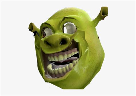 Download Shrek Dank Meme Face Transparent Png Download Seekpng