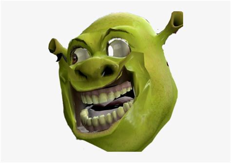 All png & cliparts images on nicepng are best quality. Shrek Dank Meme Face PNG Image | Transparent PNG Free ...