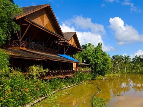 Borneo Vacation Highlights Of Borneo Responsible Travel