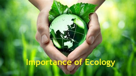 Why It Is Important To Study Ecology
