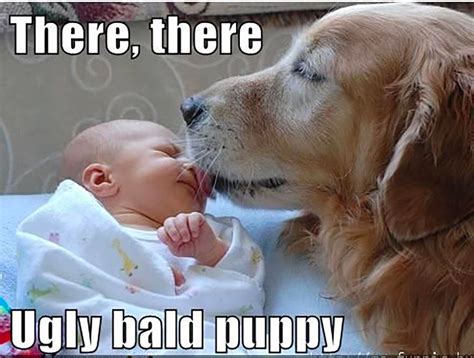 30 Baby And Puppy Memes That Will Keep You Laughing Page 3