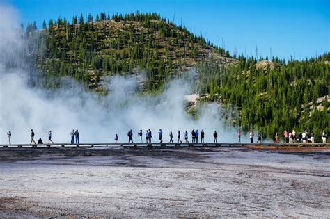 Here Are The Perfect Times To Visit Americas Yellowstone National Park