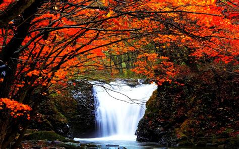 Autumn Waterfall Image Abyss