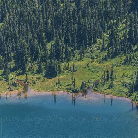 Aerial View Of Forest Lake Mt Rainier Seattle Wa Usa By Stocksy