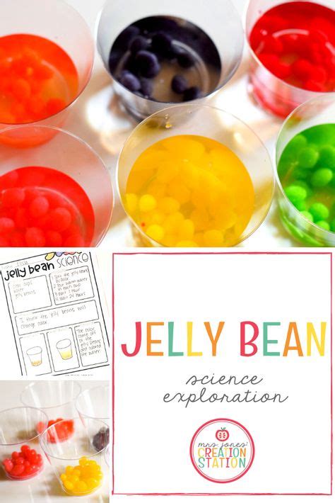 Jelly Bean Science Experiment In 2020 With Images Jelly Bean Science Experiment Jelly Beans