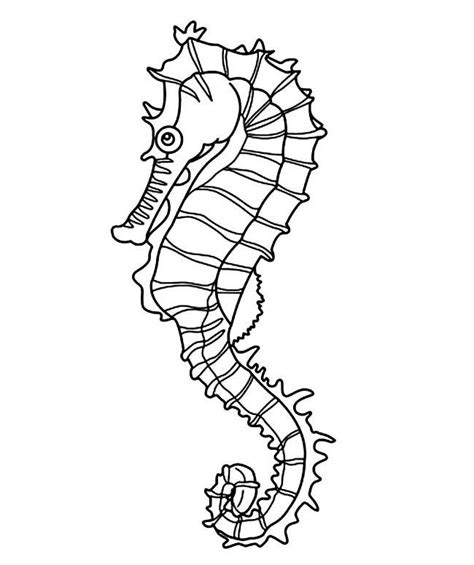 40 Seahorse Shape Templates Crafts And Colouring Pages Free And Premium