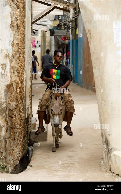Hombre Cabalgando Un Burro En Un Estrecho Callej N En La Ciudad De Lamu