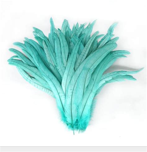 100 Pcs Aqua Mint Green Rooster Tail Feathers Loose For Feather Costumes Decor Etsy