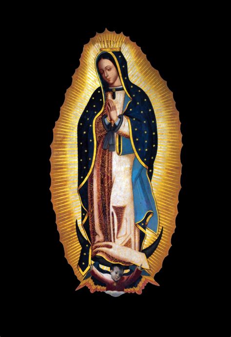 Our Lady Of Guadalupe Nuestra Señora De Guadalupe Catholicamtees