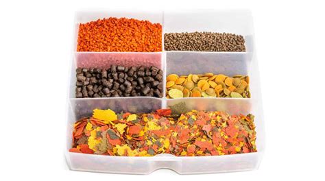 Types Of Fish Feed Ultimate Guide To Fish Food Fish Laboratory