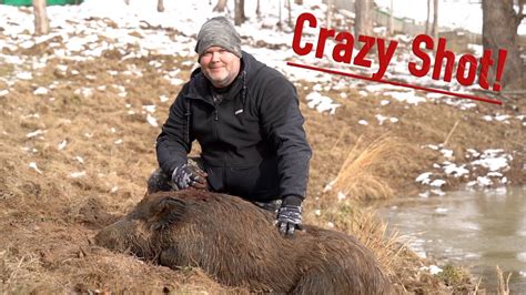 Russian Boar Hunt With A Crossbow Youtube