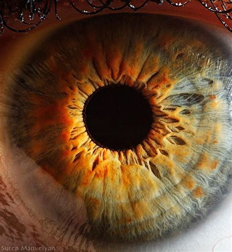 A Beautiful Close Up Of An Iris By Physics Teacher Suren Manvelyan Macro Photography Eyes Eye