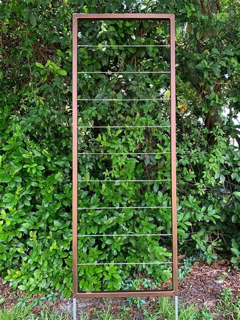 Clean And Modern Trellis Metal Frame Stainless Steel Wire Etsy