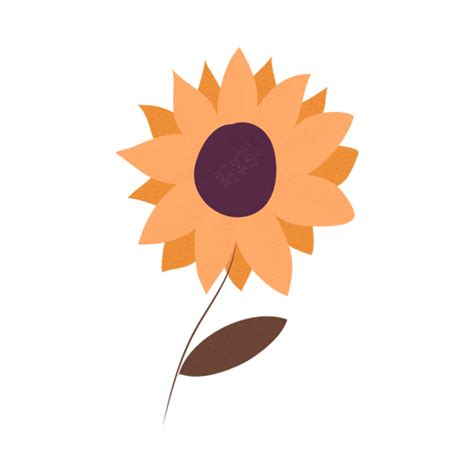Sunflower Textured Illustration Transparent Png And Svg Vector File