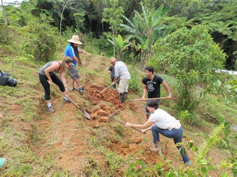 Boricuá: Agroecology and the return of family farming in ...