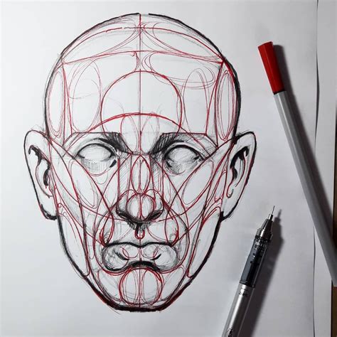 Sketchbook Burak Geçgil On Instagram “head Proportions Reilly Method