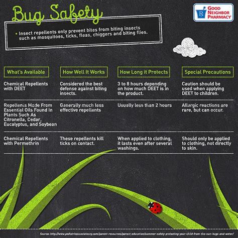 Stay Safe From Bugs This Summer Summer Safety Summer Health Summer
