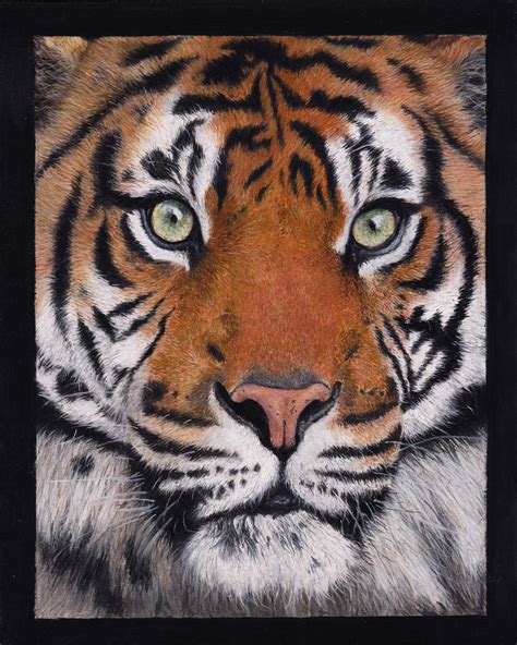 Tiger Painting Fine Art Print Gemma Whelbourn Art