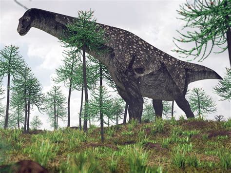 The Biggest Dinosaurs Of All Time Biggest Dinosaurs I