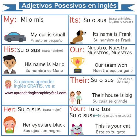 8 Ideas De Adjetivos Posesivos Adjetivo Posesivo Posesivo Adjetivos